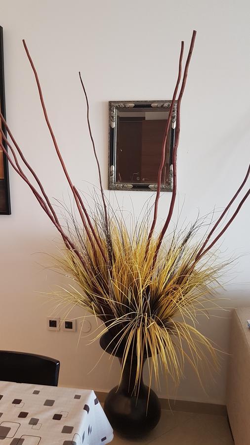 Warm - La Palmeraie Apartamento *